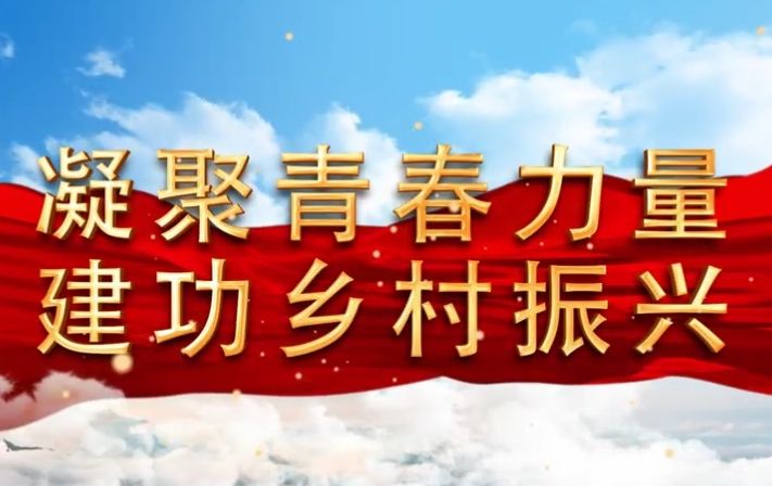 首届“全区乡村振兴青年先锋”故事分享会活动