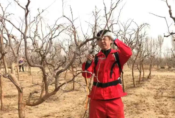 【人才乌审】李孔：沙地红枣产业创新的青年领军人